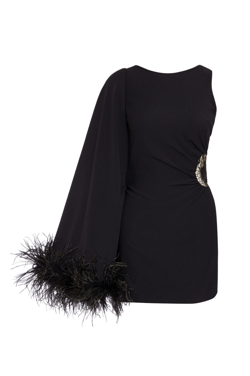 The Mini Black Feather-Trimmed Dress