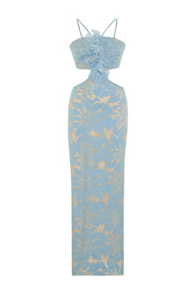 Zeyna Dress – Beaded Embroidered Tulle Maxi Dress