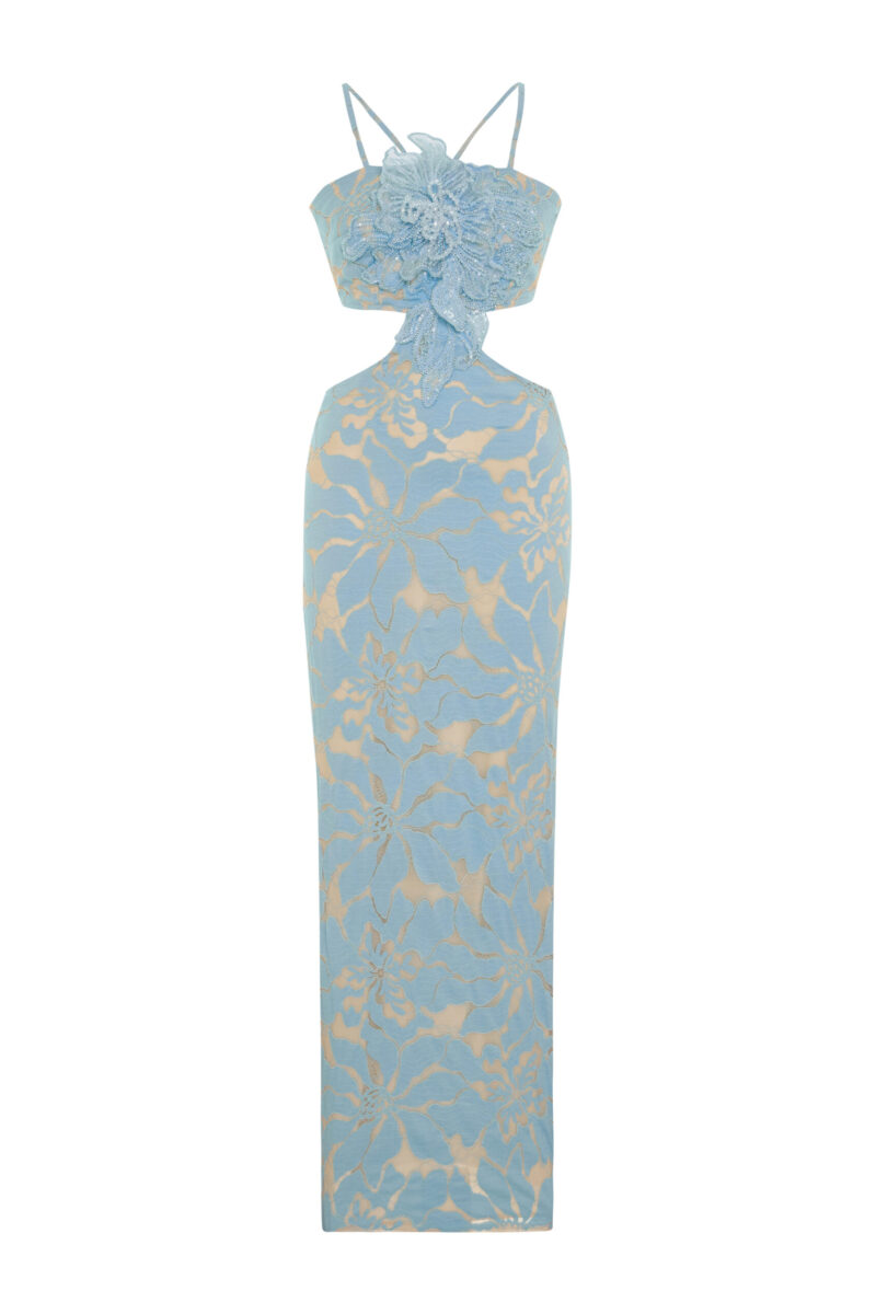Zeyna Dress – Beaded Embroidered Tulle Maxi Dress